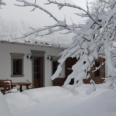 בוהינסקה בלה Farm Stay Dolinar Krainer מראה חיצוני תמונה